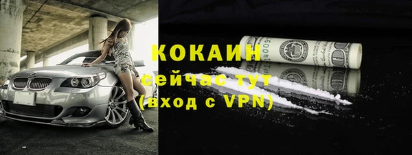 спиды Горняк