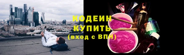 ГАЛЛЮЦИНОГЕННЫЕ ГРИБЫ Горно-Алтайск