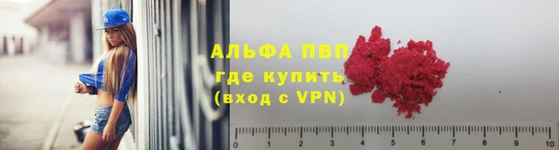ГАЛЛЮЦИНОГЕННЫЕ ГРИБЫ Горно-Алтайск