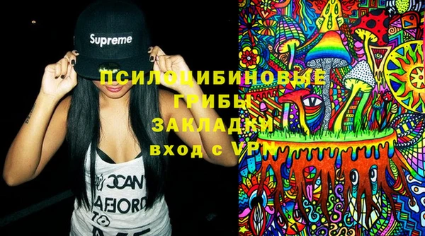 спиды Горняк