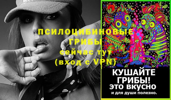spice Гусиноозёрск
