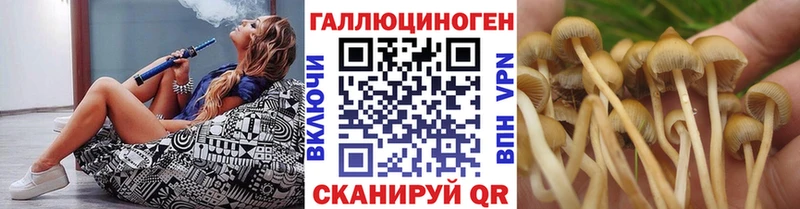 Галлюциногенные грибы Psilocybine cubensis Грайворон