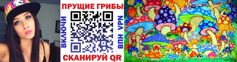 Псилоцибиновые грибы MAGIC MUSHROOMS  Грайворон 